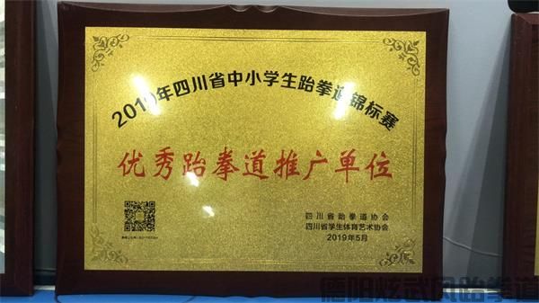 德阳跆拳道炫武风成果展示