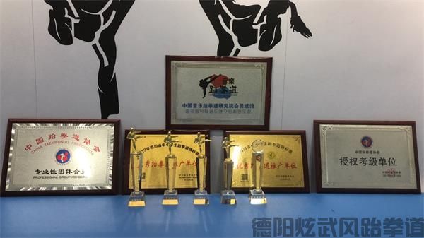 德阳跆拳道炫武风成果展示2