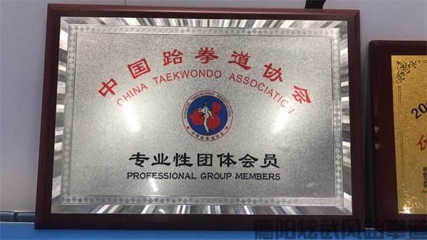 德阳跆拳道炫武风成果展示