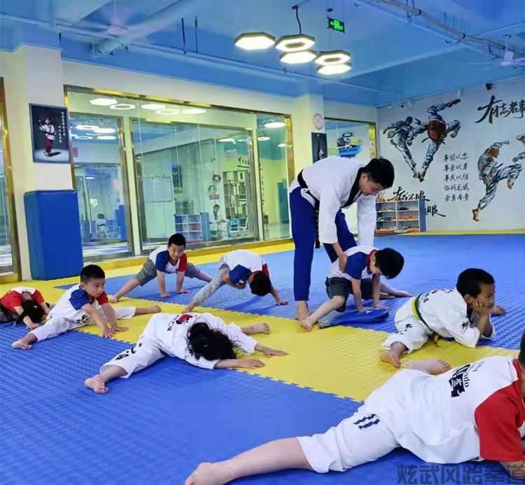 德阳学跆拳道好多钱